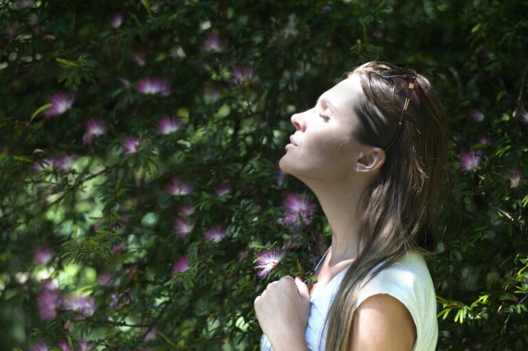 meditacion para principiantes